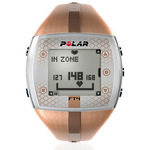      Polar FT4F Brown