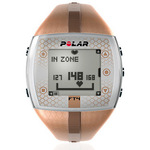      Polar FT4F Brown