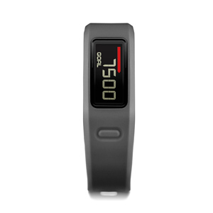 - Garmin Vivofit slate bundle