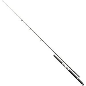   DAIWA SALTIGA DORADO 80TN