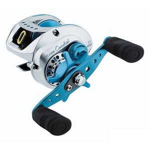   DAIWA TD Zillion Coastal 100HSLA