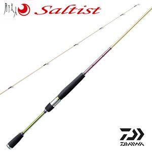  DAIWA Saltist X-TREME GEKKABIJIN STX-RF 76 SVF