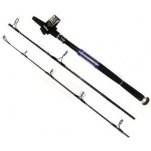   DAIWA Saltiga SG TWITCH 60S