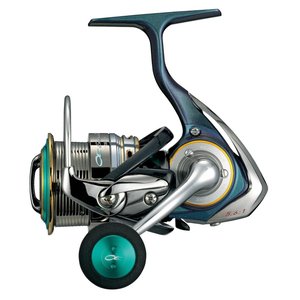     DAIWA Emeraldas 2508PE-H (2012)