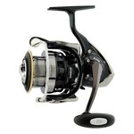     DAIWA STEEZ EX-2508H (2012)